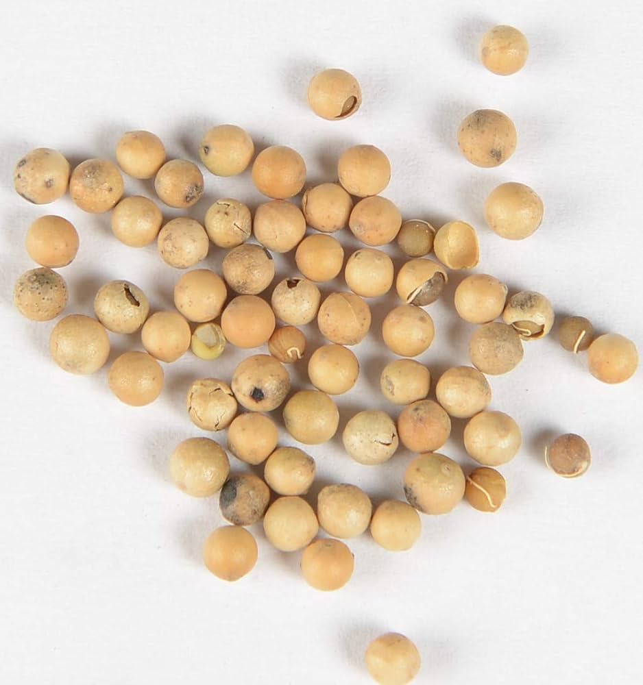 Mustard Seed
